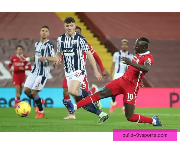 西布罗姆维奇足球俱乐部的历史成就与未来发展展望