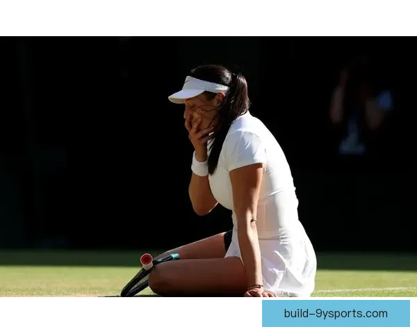 网球巨星复出之路：全新赛季引发各方关注，未来赛事充满悬念